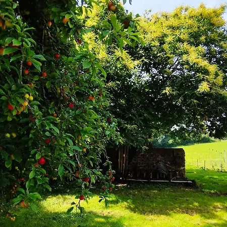 Maison Miqueu Holiday home Andoins