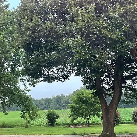 Maison Miqueu Nyaraló *