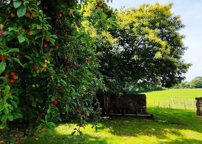 Maison Miqueu Feriehus Andoins
